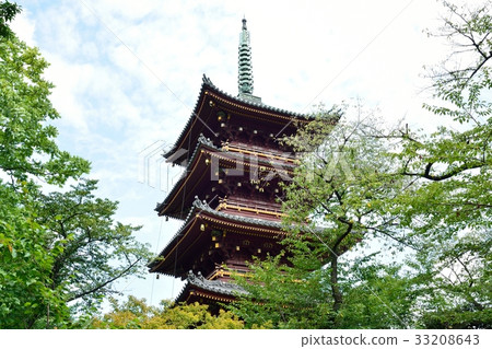 Five-storied pagoda of former Kanei-ji Temple Five-storied pagoda of former Kanei-ji Temple 33208643
