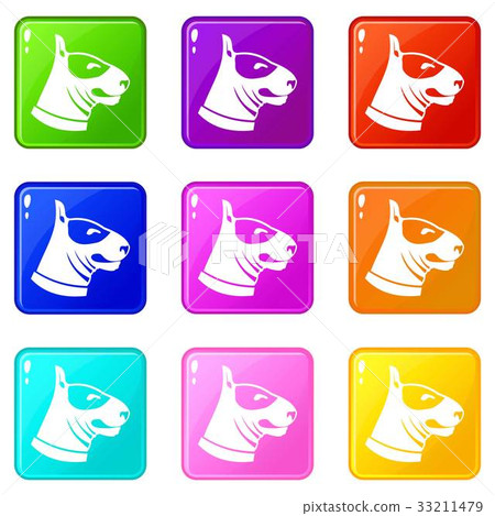 Bull terrier dog icons 9 set Bull terrier dog icons 9 set 33211479