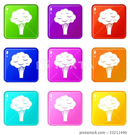 Broccoli icons 9 set Broccoli icons 9 set 33211490