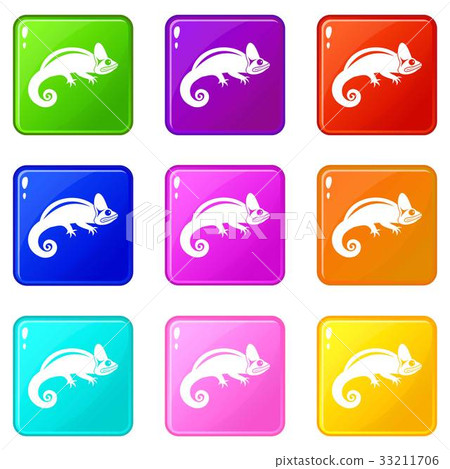 Chameleon icons 9 set 33211706