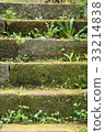  Mossy stairs 33214838