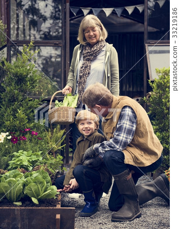 Grandparents and Grandson Pick Up Fresh Vegetable Together Grandparents and Grandson Pick Up Fresh Vegetable Together 33219186