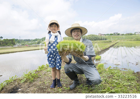 水稻種植圖像稻農 水稻種植圖像稻農 33223516