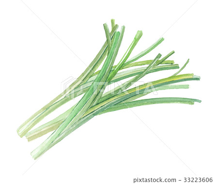 Kwanso stem 33223606