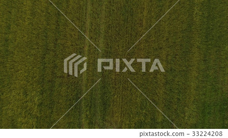 A wheat field shot from the sky with a drone (Monbetsu, Hokkaido) 33224208