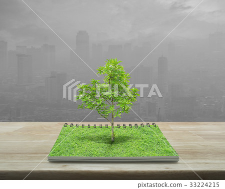 Tree growing from an open book on wooden table Tree growing from an open book on wooden table 33224215