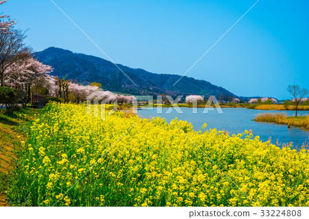 春天的風景 33224808