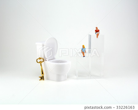 toilet toilet 33226163