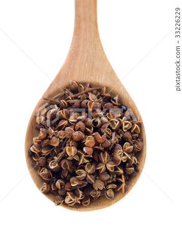 Zanthozylum limonella Alston on white background 33226229