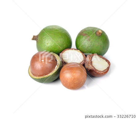Fresh macadamia nuts on white background 33226710