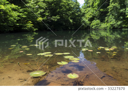 Kanifuchi Kanifuchi 33227870