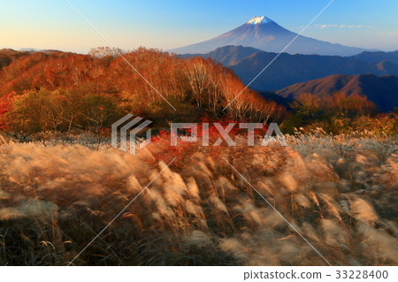 清晨Otsuchi Rensuke,Okura Takamaru no Suki和Mt Fuji 清晨Otsuchi Rensuke,Okura Takamaru no Suki和Mt Fuji 33228400