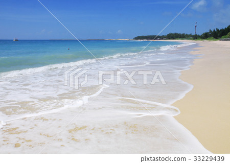 林投沙灘的夏天-9 33229439