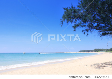 林投沙灘的夏天-16 33229635