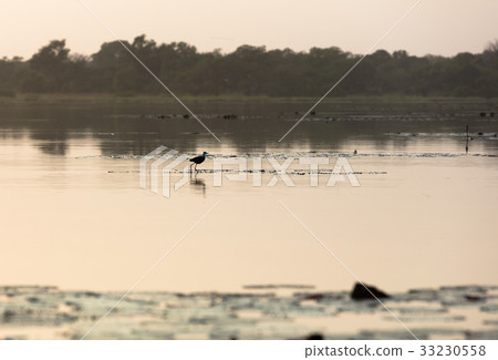 Lake Tengrela, Burkina Faso Lake Tengrela, Burkina Faso 33230558