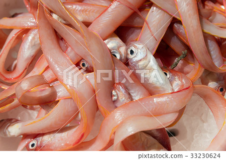 Cipolle at fish marker 33230624