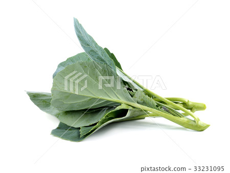 chinese broccoli on white background chinese broccoli on white background 33231095