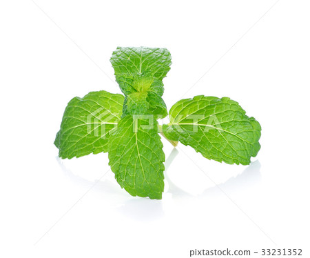 fresh mint leaf isolated on white background fresh mint leaf isolated on white background 33231352