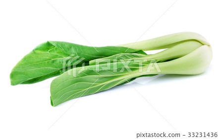 Bok choy (chinese cabbage) isolated on white 33231436