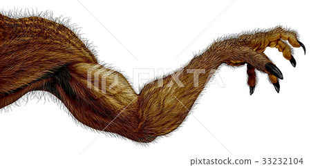 Werewolf Monster Arm 33232104