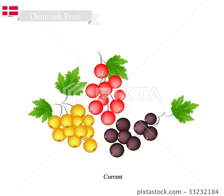 White, Black and Red Currant, Fruits Denmark White, Black and Red Currant, Fruits Denmark 33232184