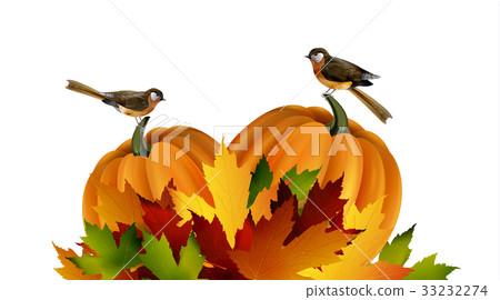 Thanksgiving vector autumn composition 33232274