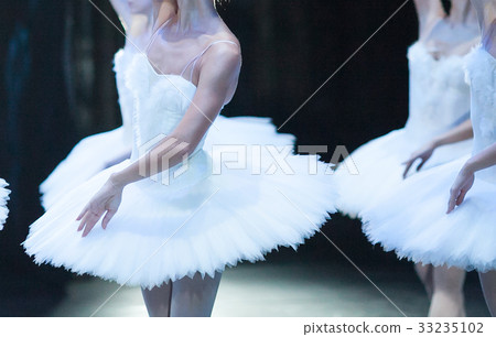 beauty, ballet, anatomy concept. delicate lines of 33235102
