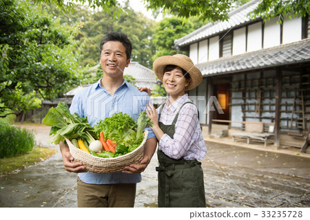Agriculture Middle couple vegetable farmer image Agriculture Middle couple vegetable farmer image 33235728