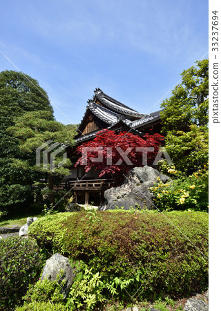 Matsuo Taisha Shrine 33237694