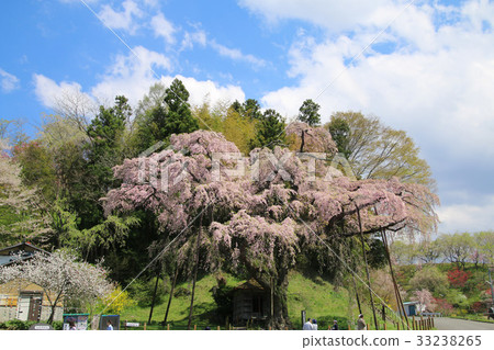 Zanchura Karakura (Koriyama city) 33238265