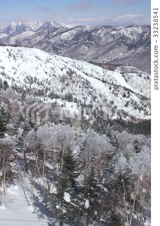 Snowy deep snow in Nagano Prefecture Shiga Kogen, sunny mountain forest and beautiful mountains of distant Shinshu 33238541