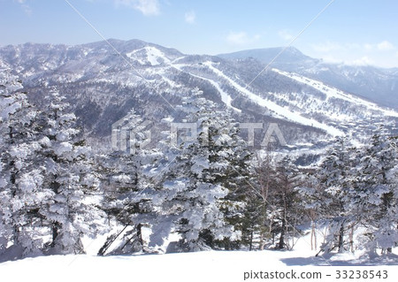 Snowy snow in Nagano Prefecture Shiga Kogen, a sunny winter 33238543