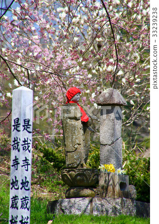 Jizo of Jizo Temple Jizo Sakura (Tamura City) 33239238
