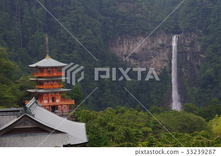 Nachi's waterfall Nachi's waterfall 33239287