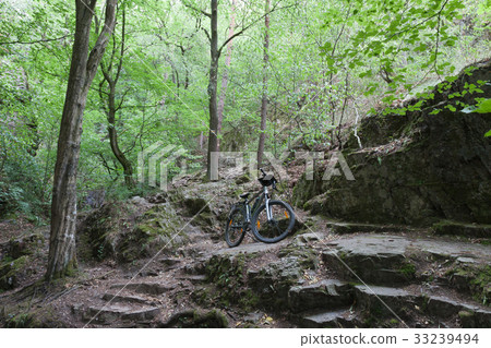 Mountain bike on tourist path in the woods. 33239494