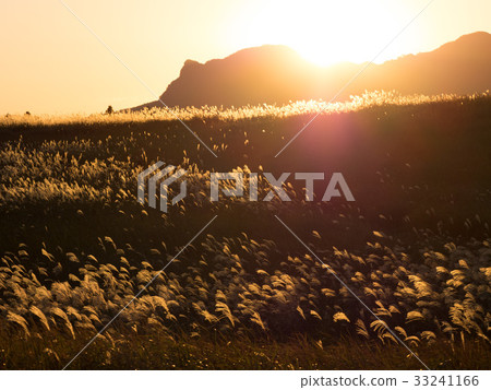 Sunset on the Sugawara Plateau 33241166