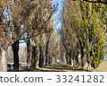 Tree trees 33241282