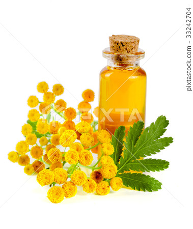essential tansy oil with flowers and leaf isolated 33242704