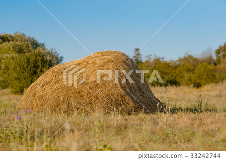 One straw stack. Photo close-up in summer One straw stack. Photo close-up in summer 33242744