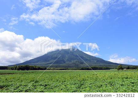 羊蹄山夏天 33242812