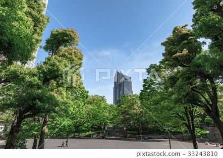 Shinjuku Chuo Park's fresh green trees and Shinjuku Park Tower Shinjuku Chuo Park's fresh green trees and Shinjuku Park Tower 33243810