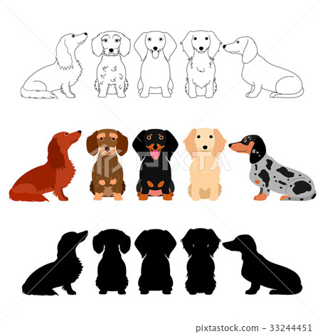 Dachshund's group whole body set 33244451
