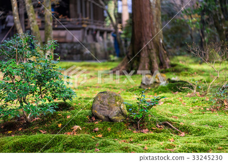 Autumn Kyoto Sanzenin Warabe Jizo 33245230