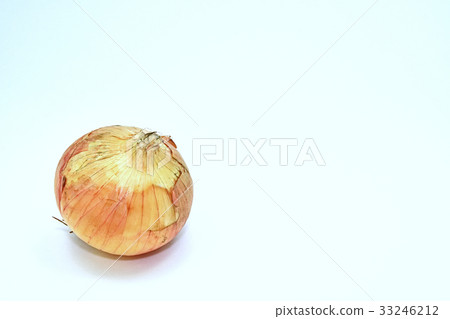 Summer new onion 33246212