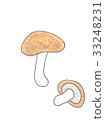 Shiitake mushroom 33248231