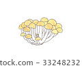 Shimeji 33248232