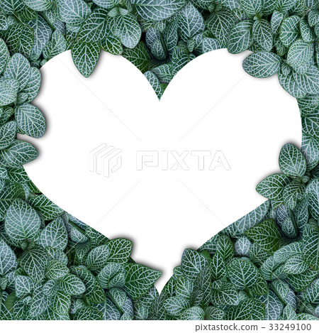 Nature concept alphabet of green leaves Nature concept alphabet of green leaves 33249100