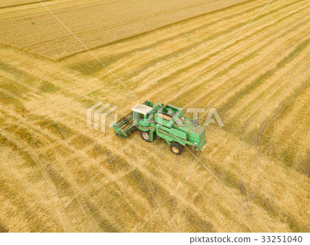Top view combine harvester gathers the wheat 33251040