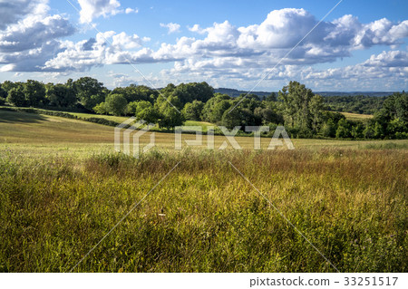 Rural scene Rural scene 33251517
