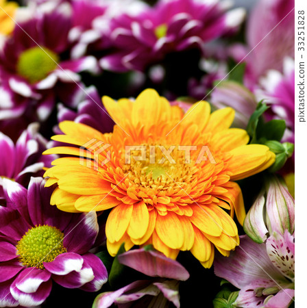Colorful Summer Bouquet 33251828